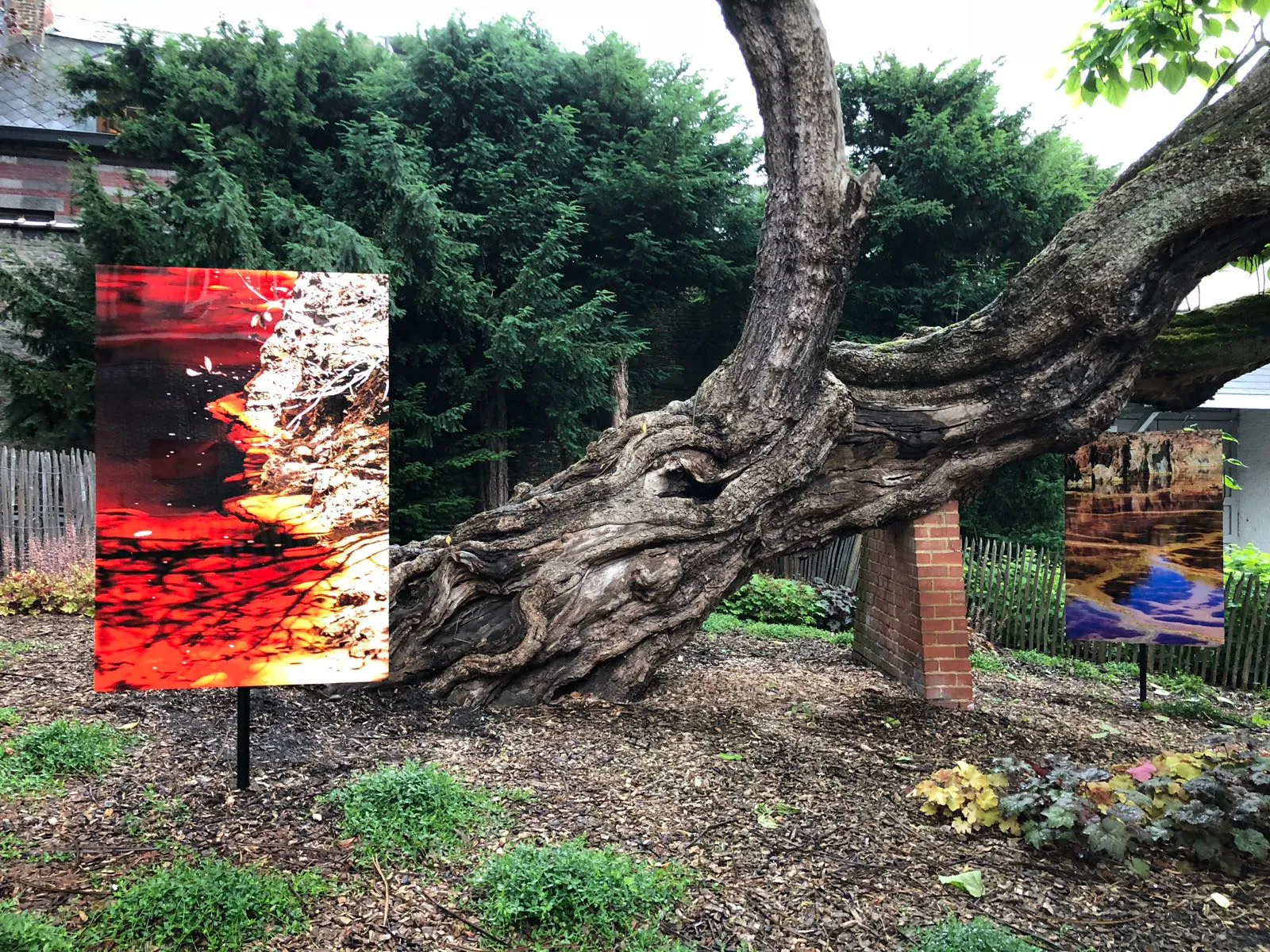 About - Illuminations et volcans, aux côtés de Rimbaud - Carine Doutrelepont et Milena Lefèvre