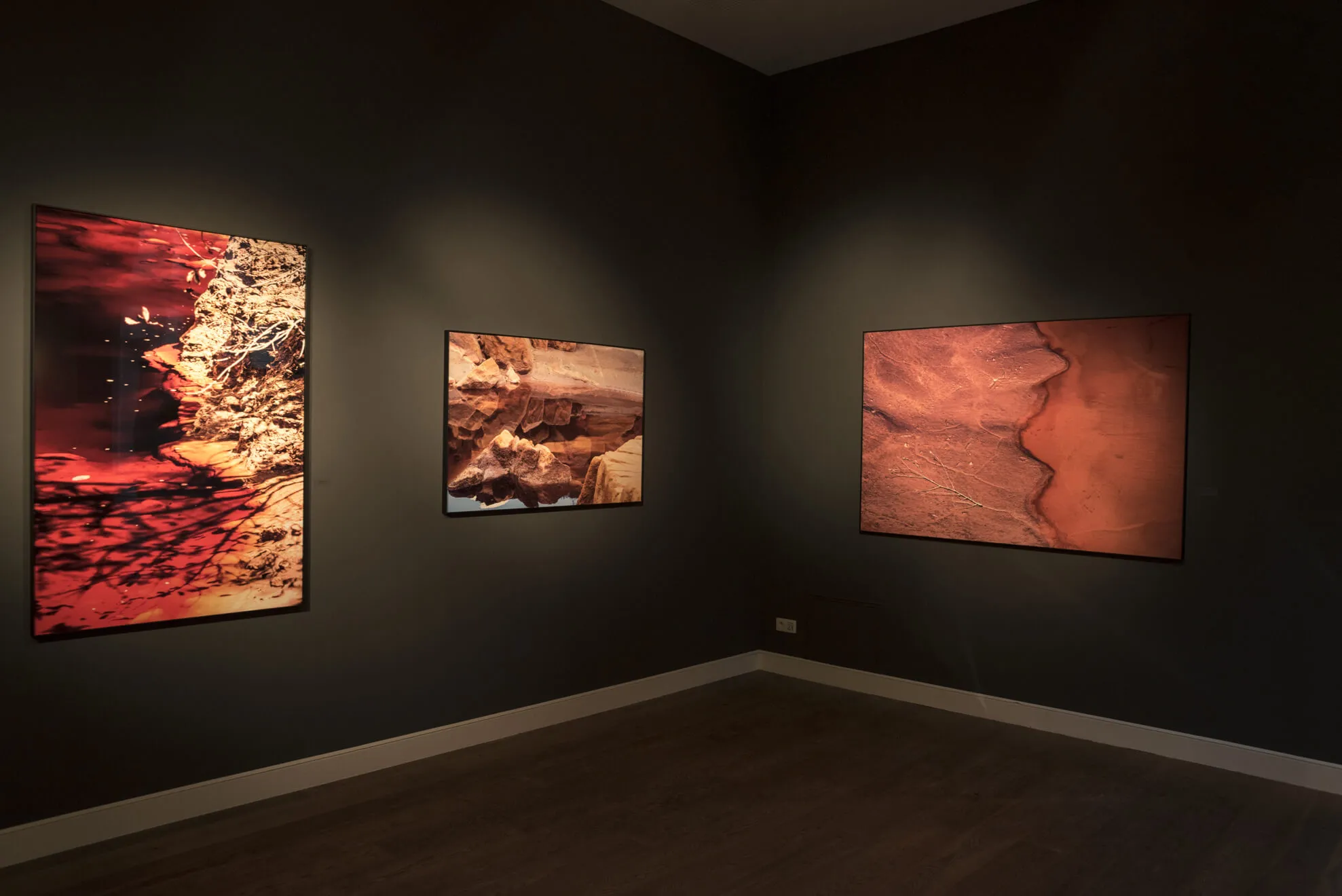 About Terres volcaniques - Carine Doutrelepont